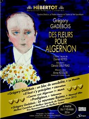 Des fleurs pour Algernon Thtre Hbertot Affiche