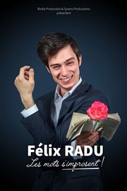 Félix Radu dans Les Mots s'improsent La Petite Loge Thtre Affiche