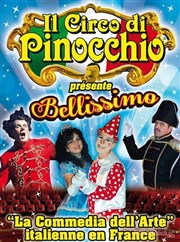 Il Circo di Pinocchio Chapiteau Il Teatro di Pinocchio  Baillet en France Affiche