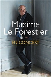 Maxime Le Forestier Thtre Casino Barrire de Lille Affiche