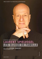Laurent Spielvogel dans Les bijoux de Famille Thatre Le Brady - grande salle Affiche