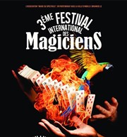 3ème Festival International des Magiciens Complexe Polyvalent d'Andilly Affiche