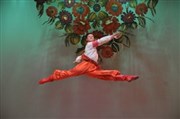 Ballet National d'Ukraine Virski Espace 93 - Victor Hugo Affiche