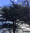 Visite guidée: Que le temps passe à Montparnasse | par Elisabeth et Catherine - 