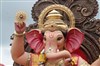 Le Dieu des causes perdues - 