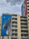 Visite guidée : Street Art des fresques du 13ème - 