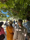 Visite guidée : L'histoire des arbres à Paris | par Frédéric Pennel - 
