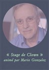 Stage de Clown par Mario Gonzalez - 