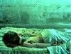 Les oiseaux meurent facilement dans cette chambre - 