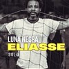Eliasse en concert - 