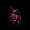 Cocoeur - 