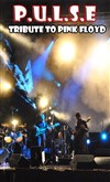 Pulse | Tribute to Pink Floyd - 