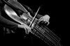 Concert Fusion Suède-Perse - 