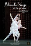 Blanche-neige et les sept nains - 