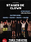 Stages de clown - 