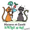 Macaron et Canelé se mettent au vert ! - 