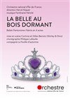 La Belle au Bois Dormant - 