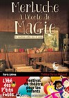 Merluche à l'école de la magie - 