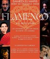 Nuit du Flamenco - 