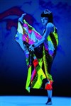 Cheng Tsung-lung, Cloud Gate Dance, Theatre of Taiwan | 13 Tongues - 