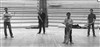 Quatuor de saxophones Orkan - 