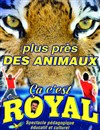 Soigneur d'un jour | à Hyères - 