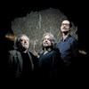 Thierry Eliez : Improse Extended - 