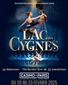 Le Lac des Cygnes - 