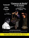 Flamenco de Séville ! - 