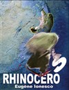 Rhinocéros - 
