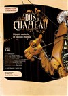 À dos de chameau - 
