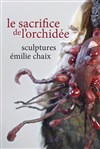 Sculptures d'Emilie Chaix | Le sacrifice de l'orchidée - 