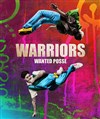 Warriors - 