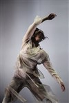 Dust | Dancenorth Australia - 