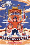 Le Cirque d'Hiver Bouglione dans Spectaculaire - 