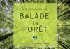 Ballade en forêt - 