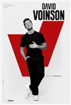 David Voinson - 