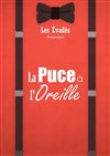 La puce à l'oreille - 