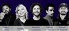 Fat Bar - 