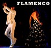 Al andalus flamenco nuevo - fuego - 