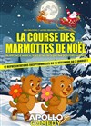 La course des marmottes de Noël - 