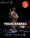 Trois arbres - 
