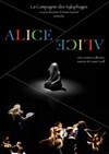 Alice - 