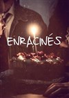 Enracinés - 