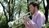 Sextet The Coquettes - 