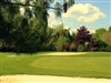 Repas puis Initiation au Golf - 