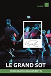 Le grand sot - 