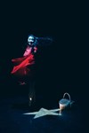 Le Petit Chaperon Rouge - 