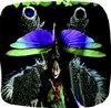 Histoires naturelles - 