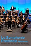 Orchestre de l'Opéra de Massy : La Symphonie Pastorale - 
